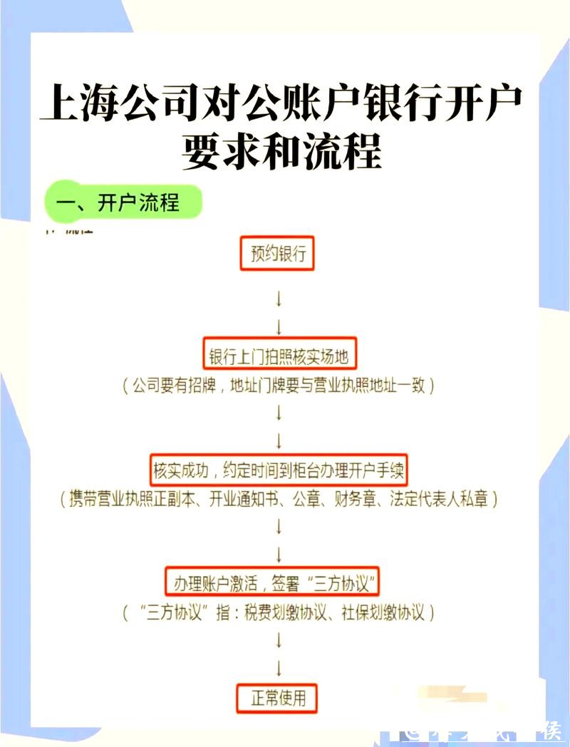 世界杯下注平台开户流程及注意事项