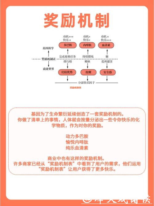 世界杯下注入口平台的奖励机制与优惠